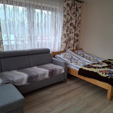 Apartamenty U Gabi Poronin Eksteriør billede