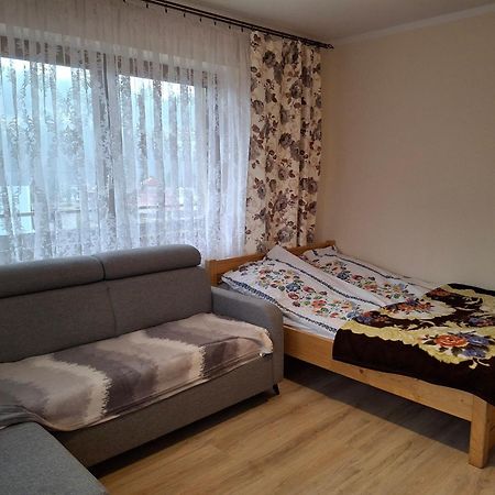 Apartamenty U Gabi Poronin Eksteriør billede