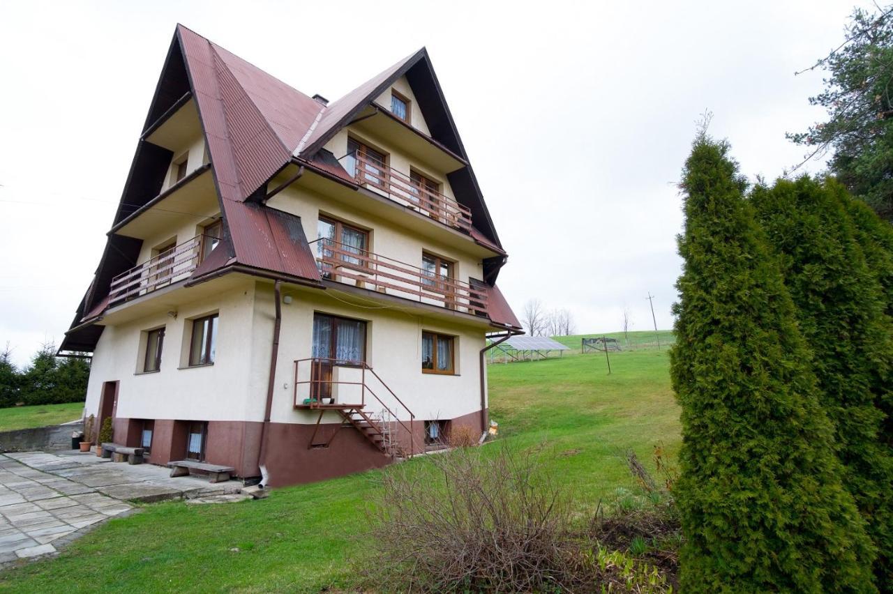 Apartamenty U Gabi Poronin Eksteriør billede