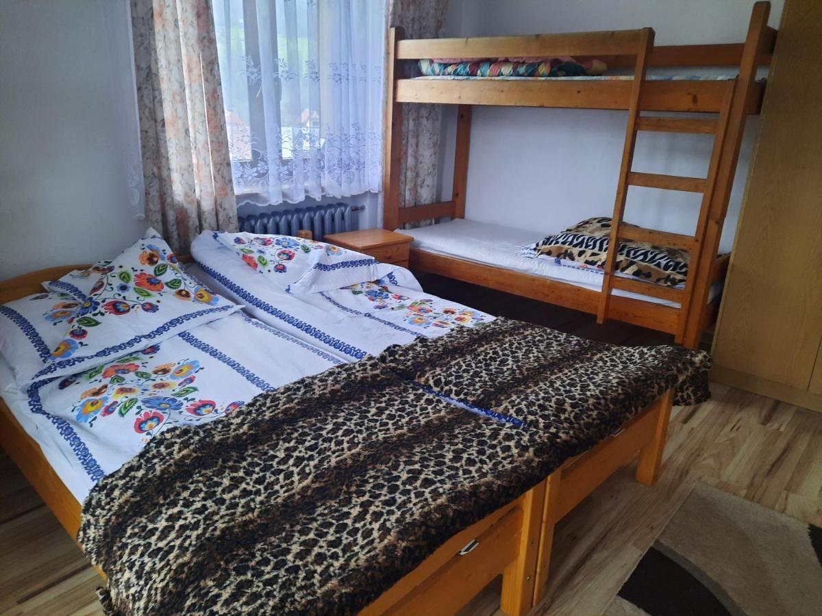 Apartamenty U Gabi Poronin Eksteriør billede